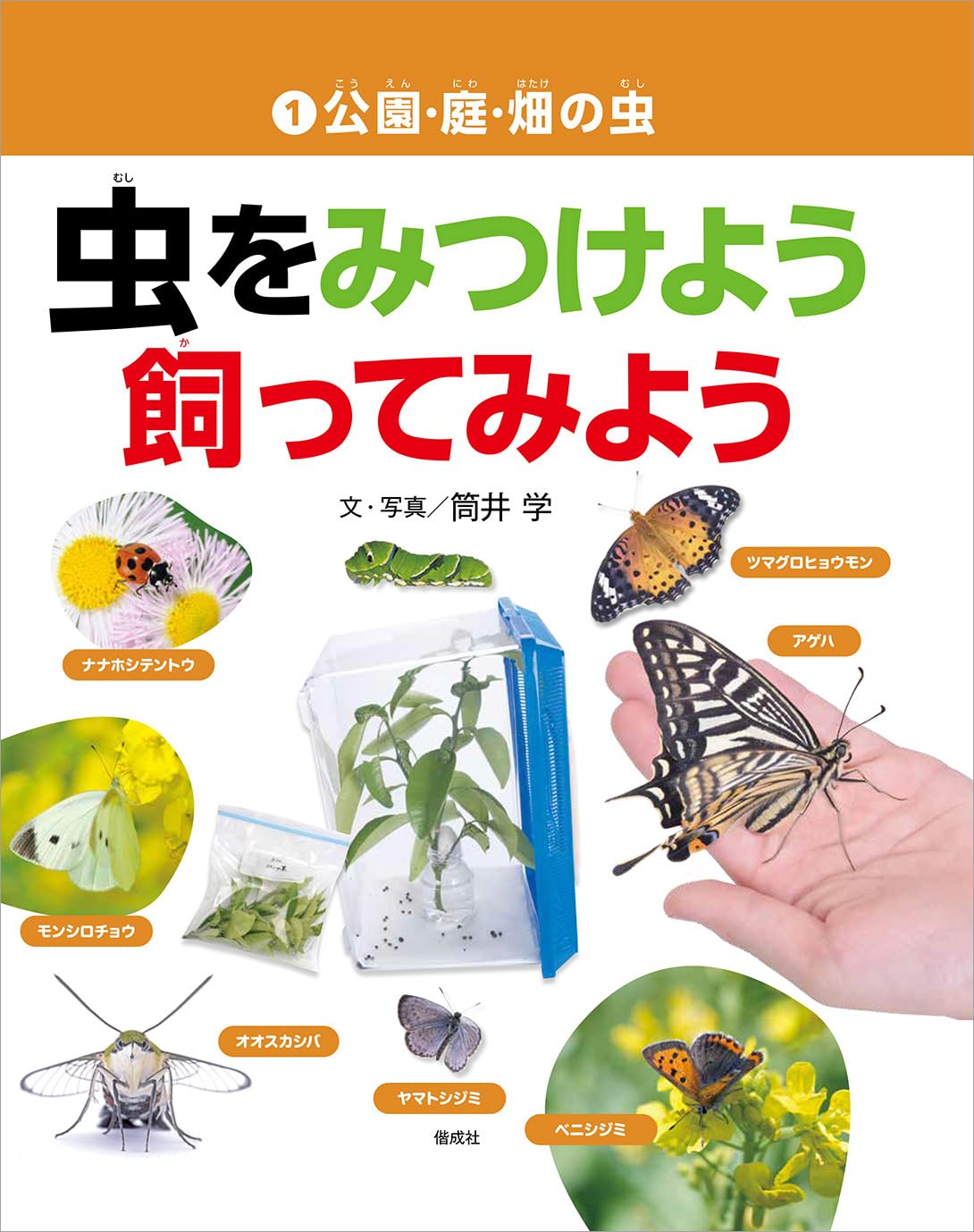 Amazon.co.jp: 公園・庭・畑の虫 (虫をみつけよう・飼ってみよう